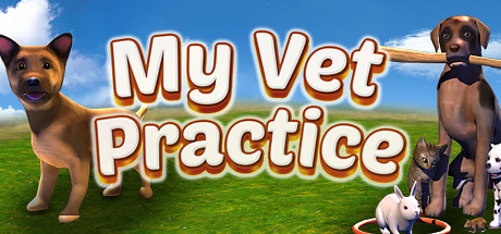 My Vet Practice Free Download PC Game